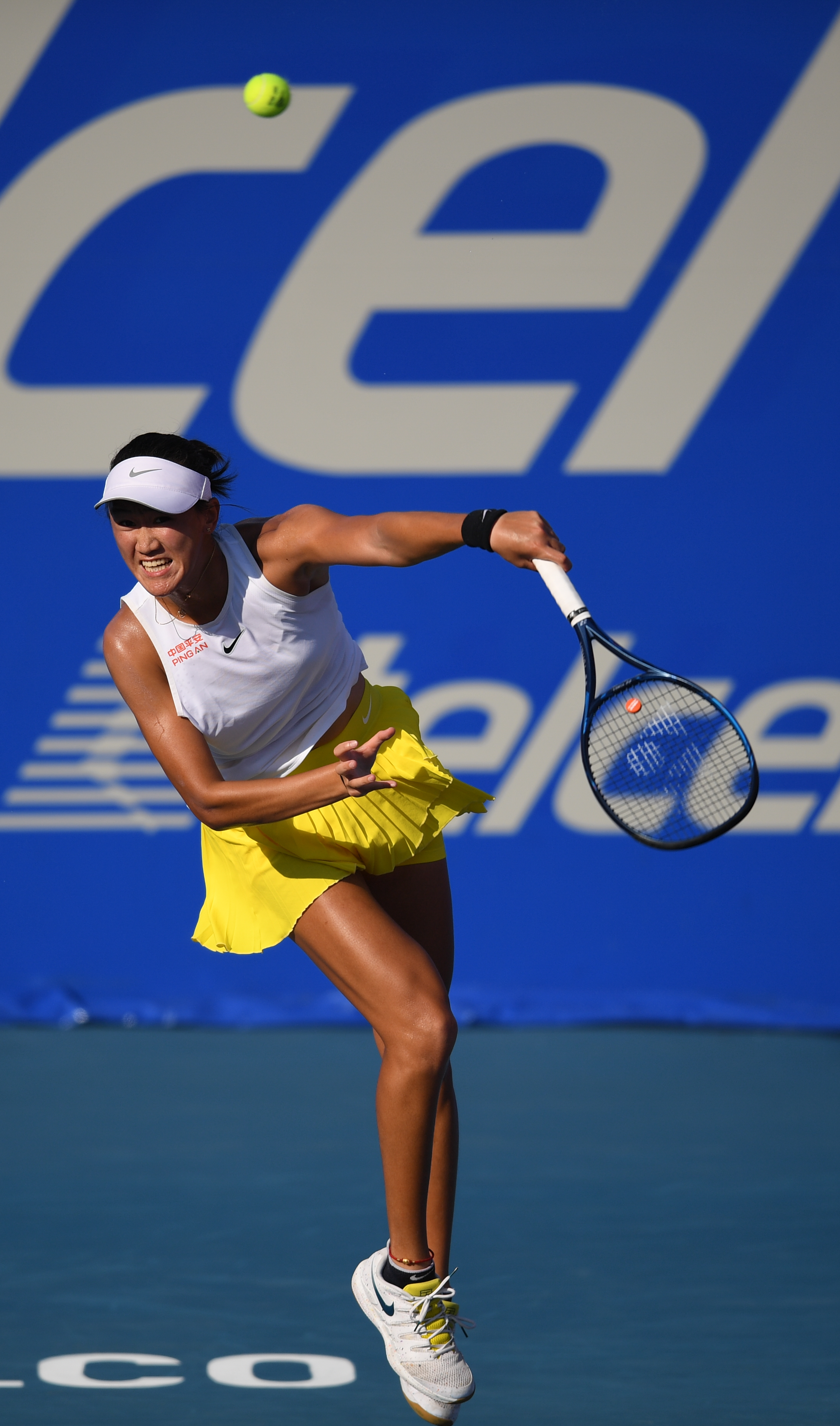 区提供了参 区提供了参